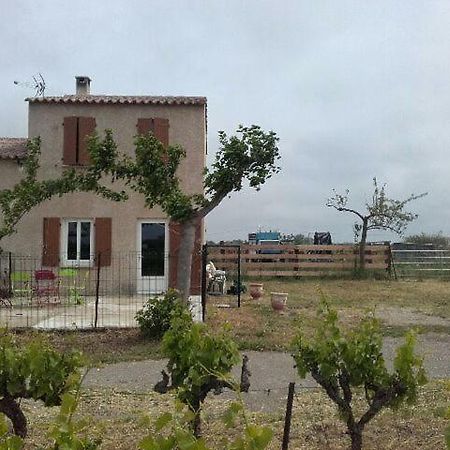 Mas Tarquin Villa Aigues-Mortes Ngoại thất bức ảnh